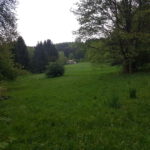 Blick von der Bank